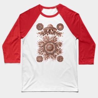 Ernst Haeckel Discomedusae Jellyfish Plate 28 Coral Baseball T-Shirt